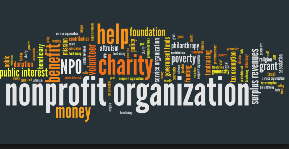 nonprofit-good-graphic-for-email-ro-something